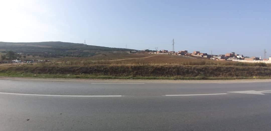 land