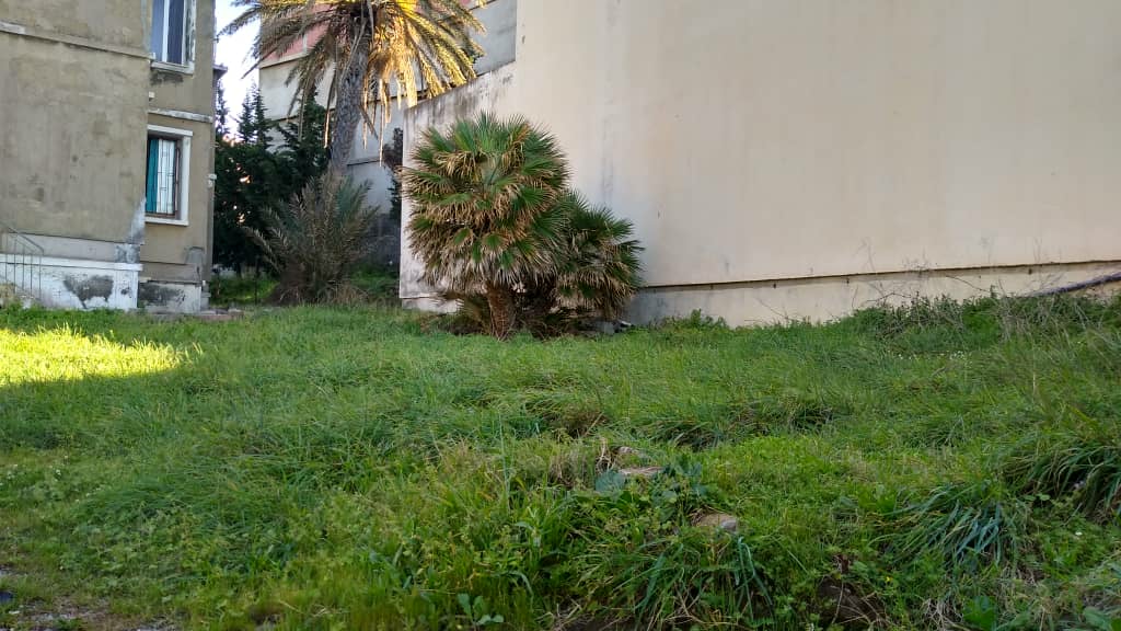 villa