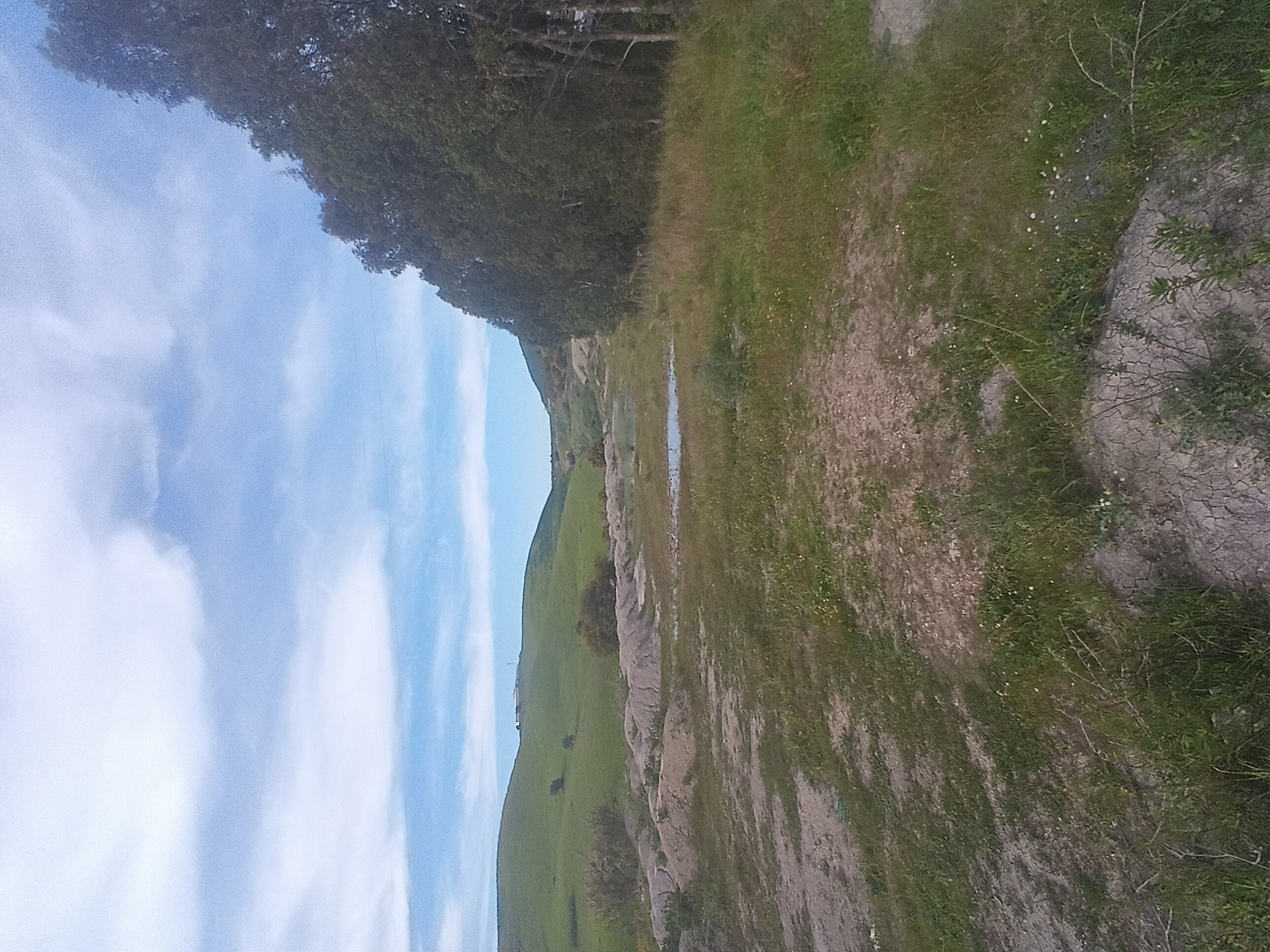 land