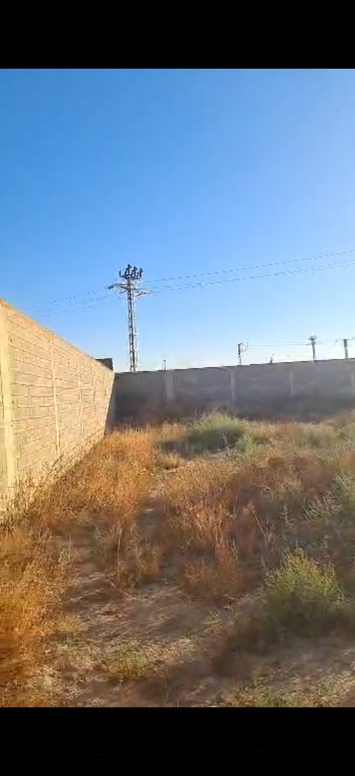 land