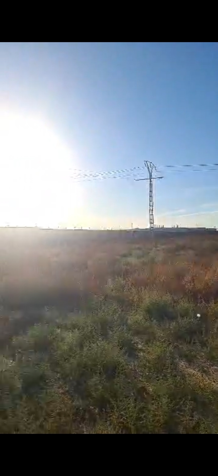 land