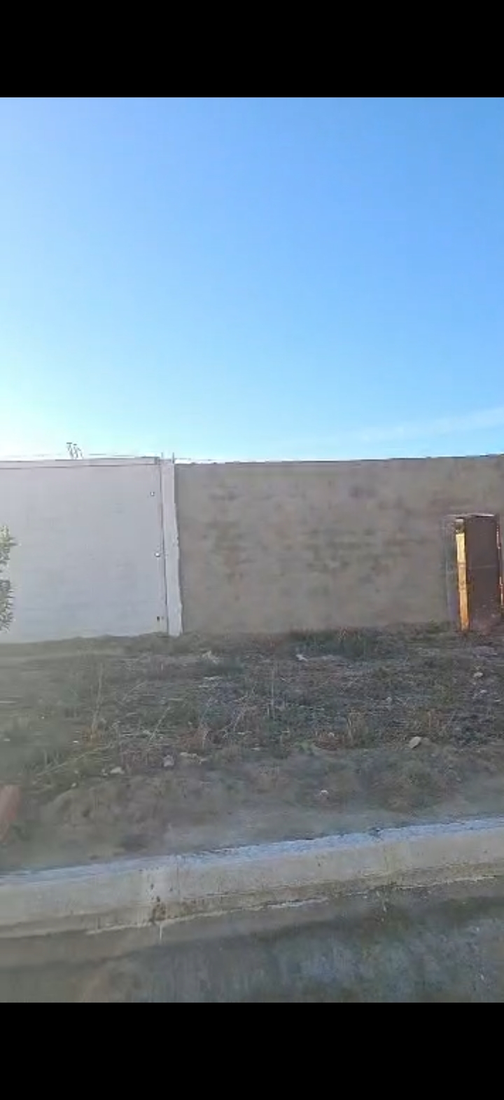 land