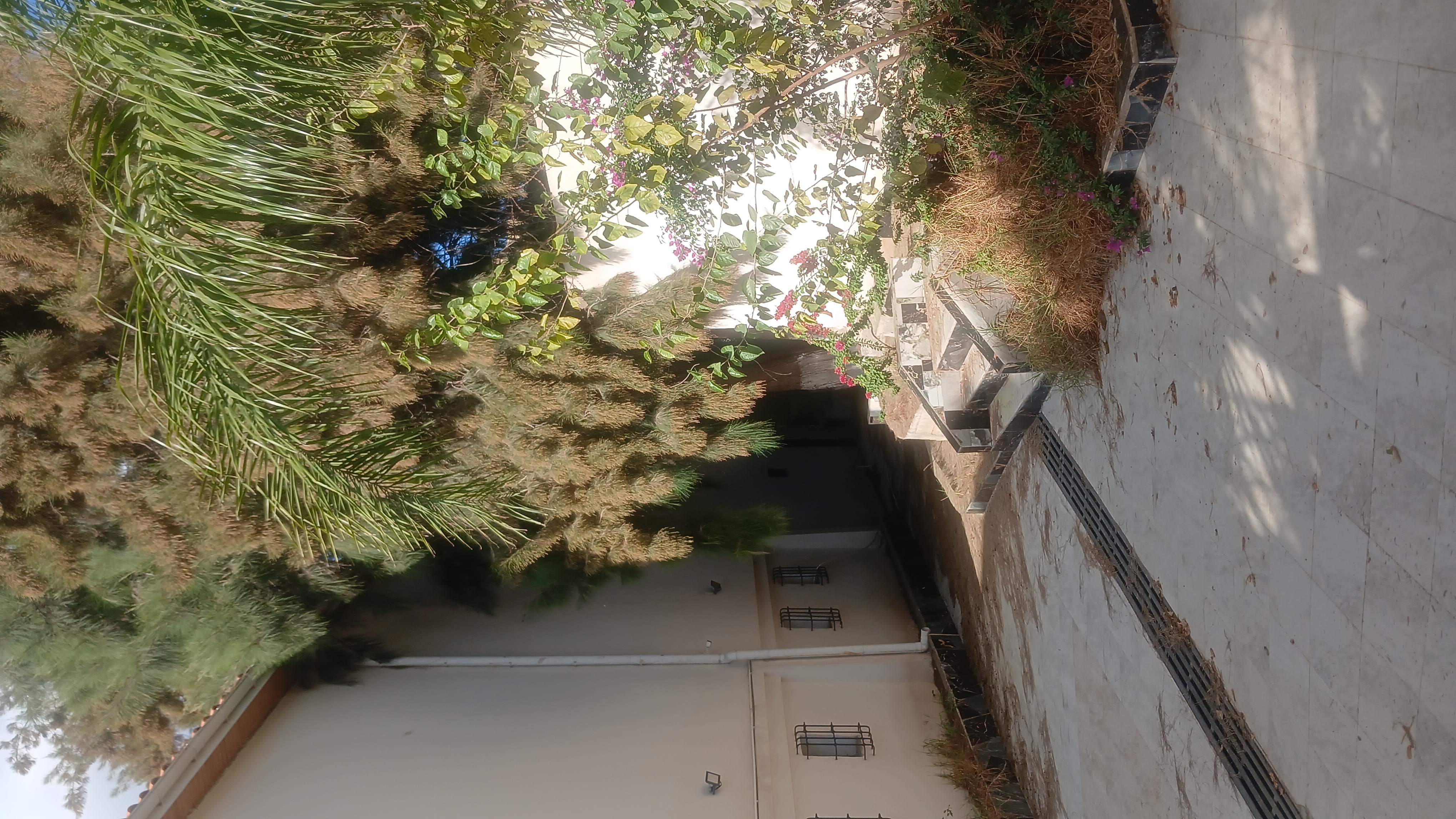 villa